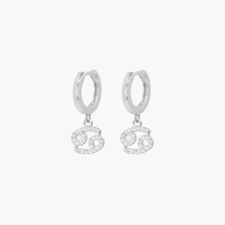 Crystal Zodiac Hoop Earrings - Lucky Eleven Jewellery