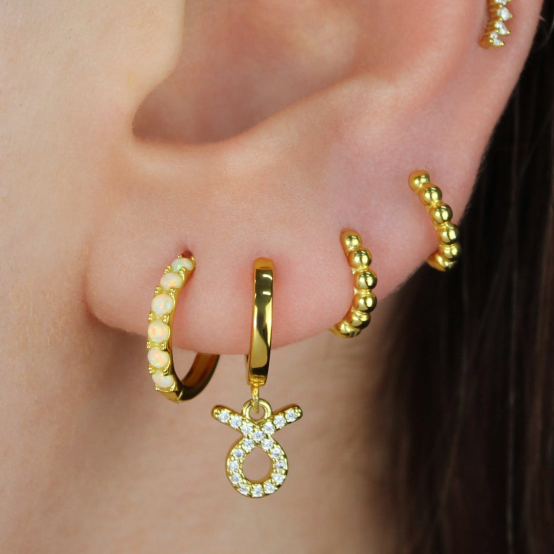 Crystal Zodiac Hoop Earrings - Lucky Eleven Jewellery