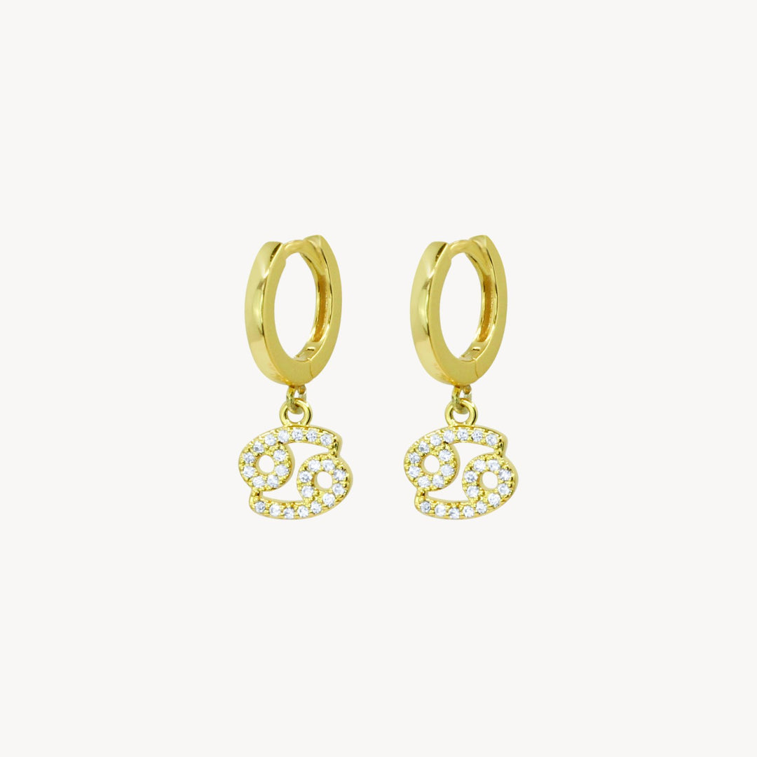 Crystal Zodiac Hoop Earrings - Lucky Eleven Jewellery