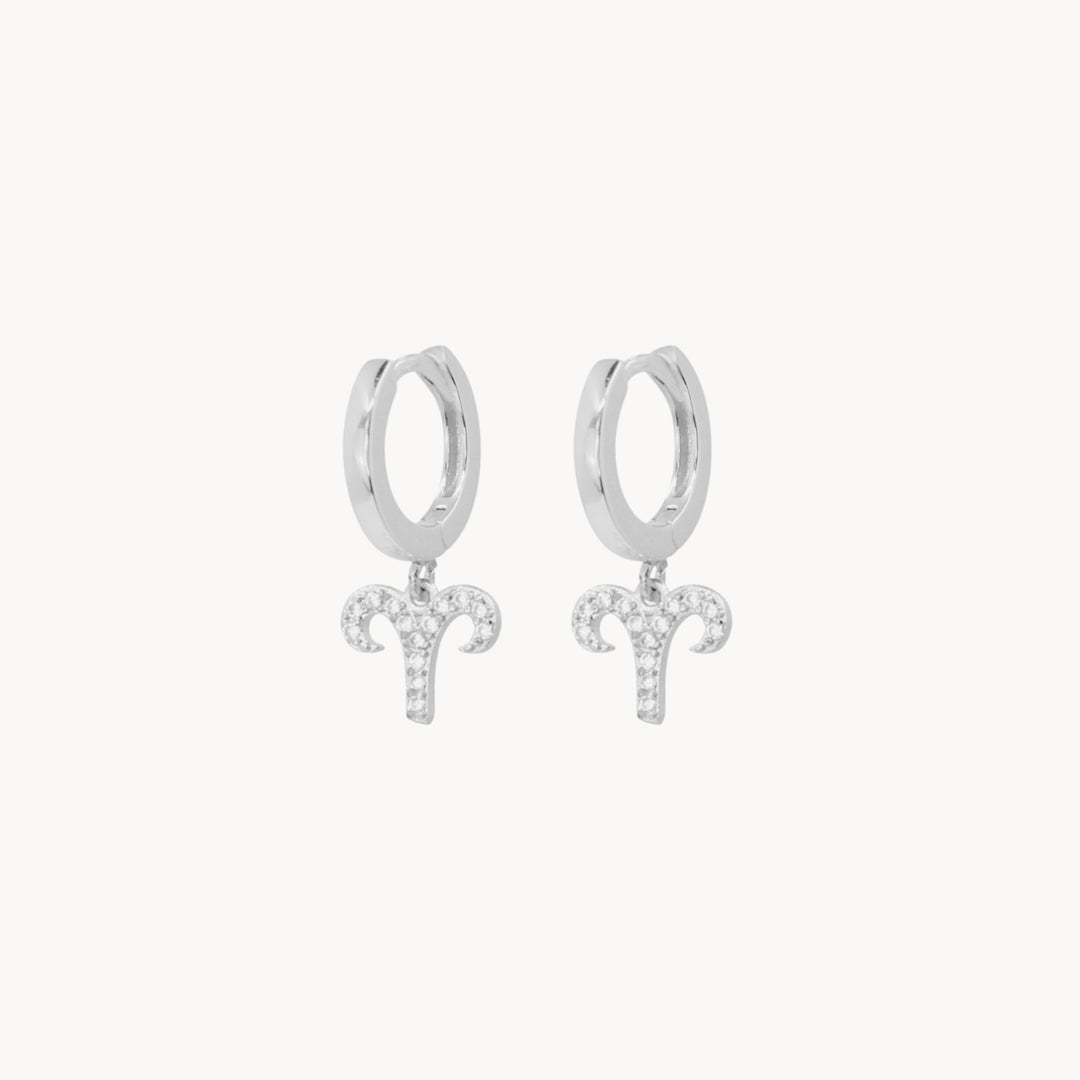 Crystal Zodiac Hoop Earrings - Lucky Eleven Jewellery